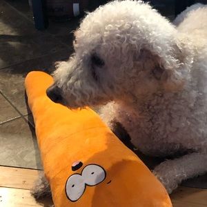 Meet your Posher, Allie